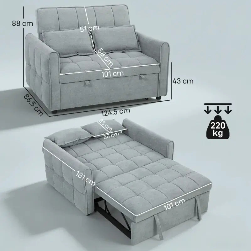 HOMCOM 2 Seater Sofa Bed, 3-in-1 Convertible Sleeper Sofa with Click-clack Adjustable Backrest and 2 Pillows, Grey