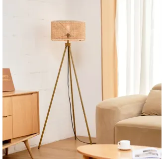 Sandy 60" Tall Tripod Floor Lamp